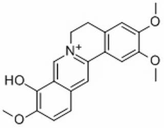 中藥標(biāo)準(zhǔn)品