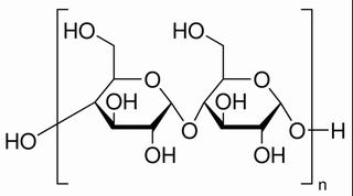 碳水化合物類(lèi)