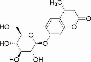 碳水化合物類