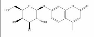 碳水化合物類(lèi)