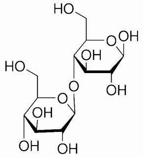 碳水化合物類(lèi)