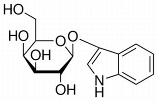 碳水化合物類