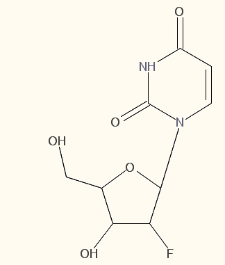 植物激素及核酸類