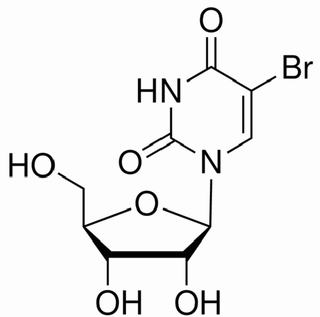 植物激素及核酸類(lèi)