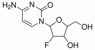 植物激素及核酸類