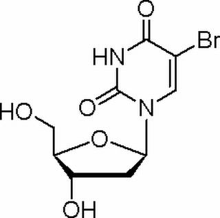 植物激素及核酸類